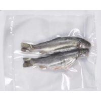 Vákuumtasakok kamrás gépekhez