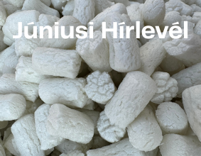 2024. Júniusi Hírlevelünk