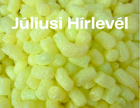 2024. Júliusi Hírlevelünk